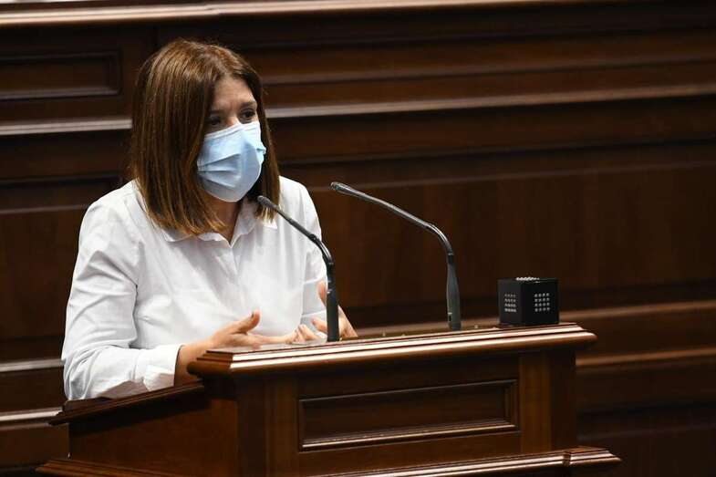 La política teldense Carmen Hernández, durante su intervención en el Parlamento de Canarias (Foto TA)